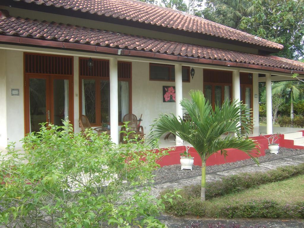 Guesthouse Rumah Senang Kalibaru Exteriér fotografie