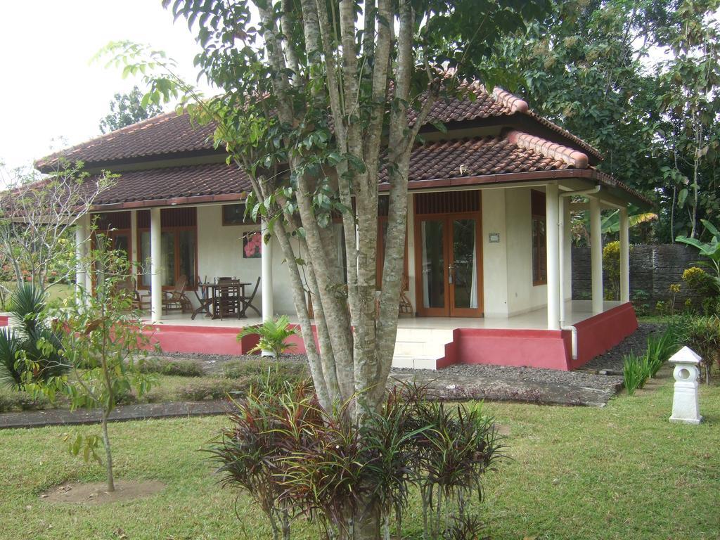 Guesthouse Rumah Senang Kalibaru Exteriér fotografie